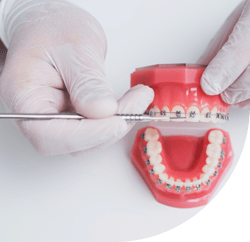 notre-programme-pedagogique notre-programme-pedagogique